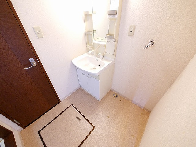 ジュネス平城山の洗面所