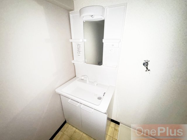 ビバリーハウス青谷壱番館の独立洗面台