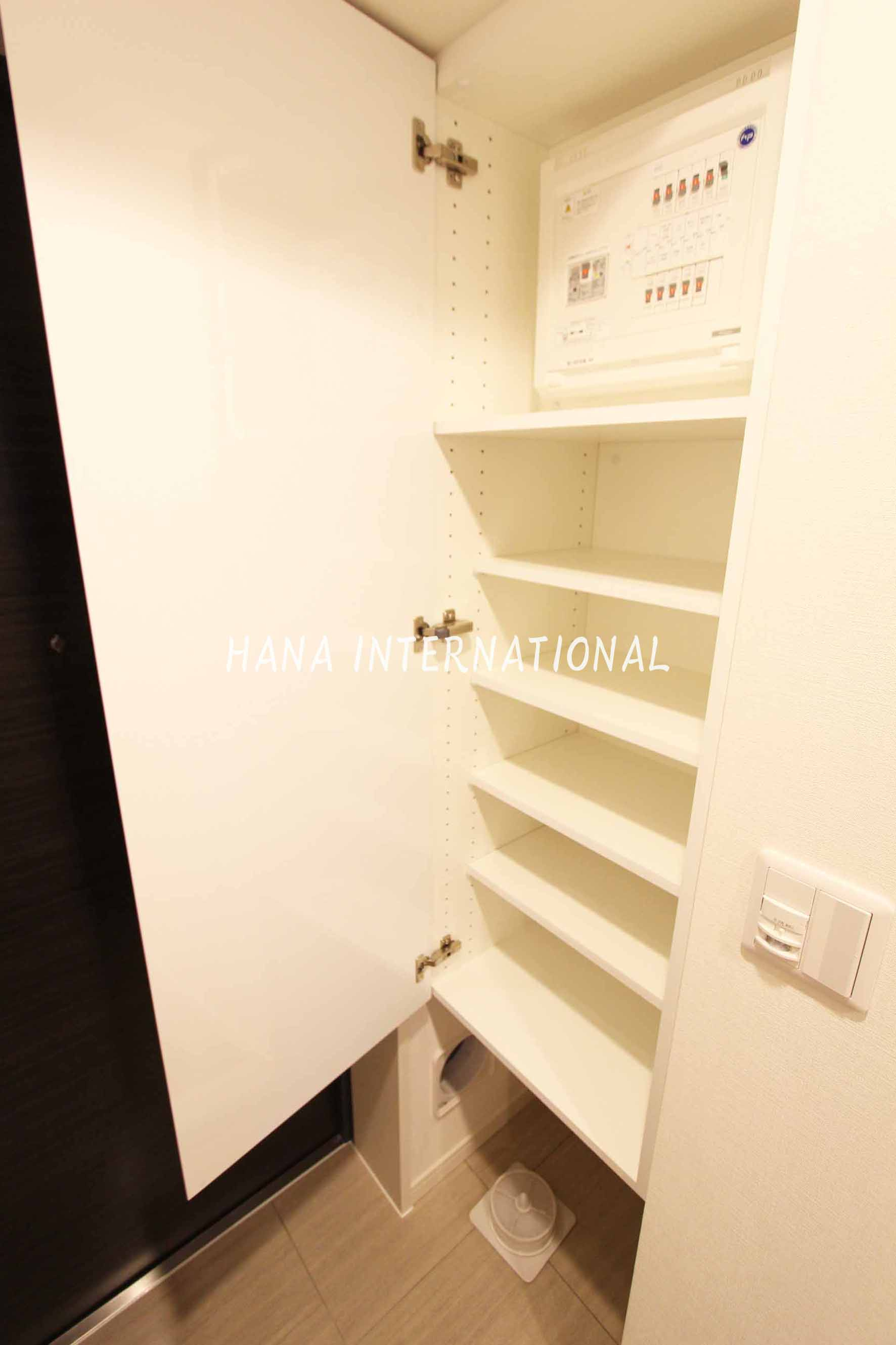 ソライエアイル草加の玄関|反転タイプ