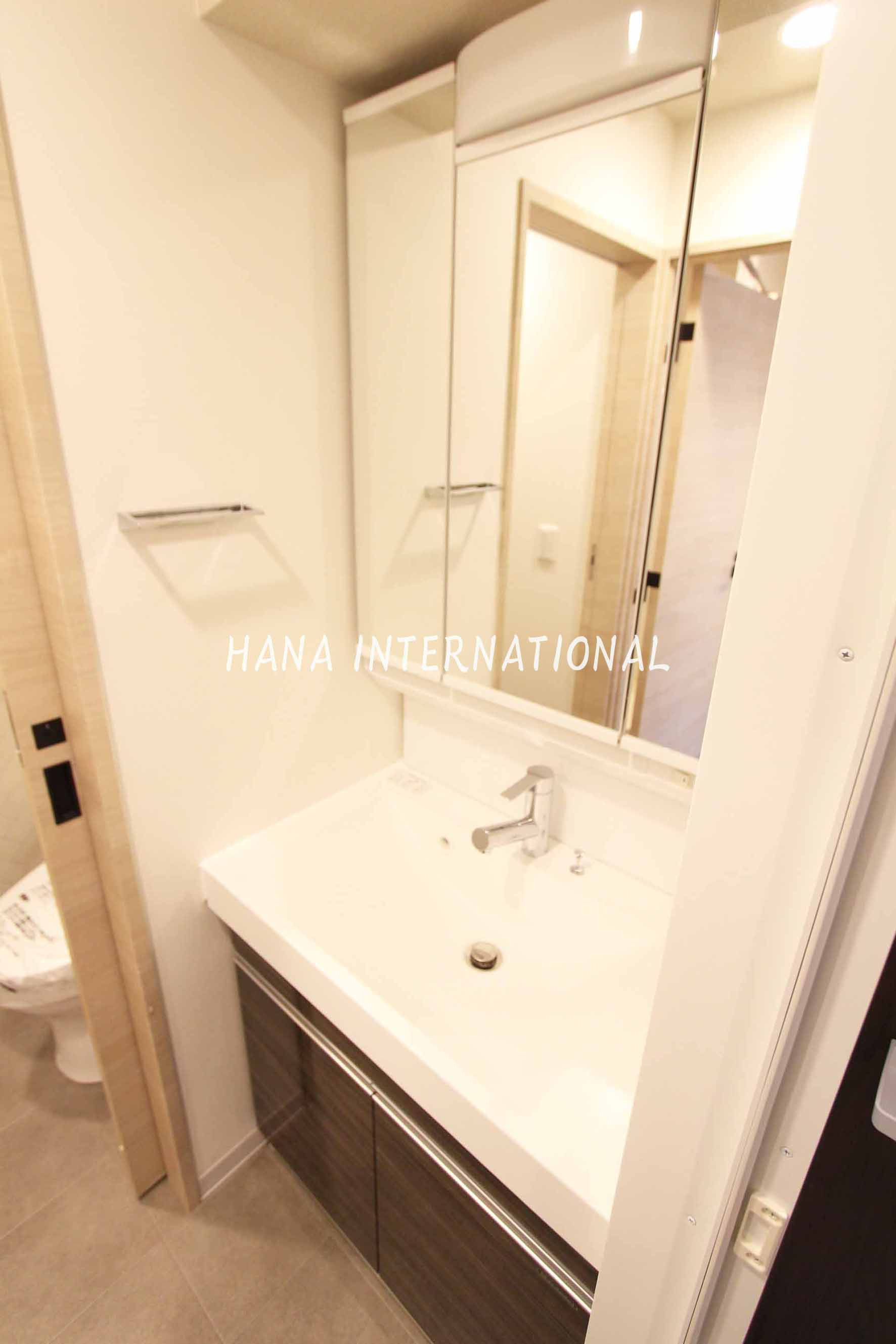 ソライエアイル草加の洗面所|反転タイプ