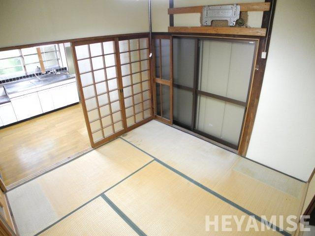 ナルタキカシヤ（ミギ）のその他