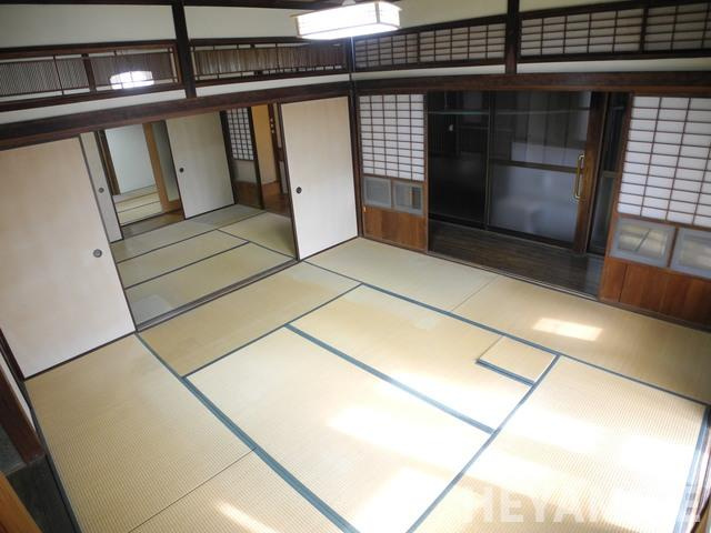 ナルタキカシヤ（ミギ）のその他
