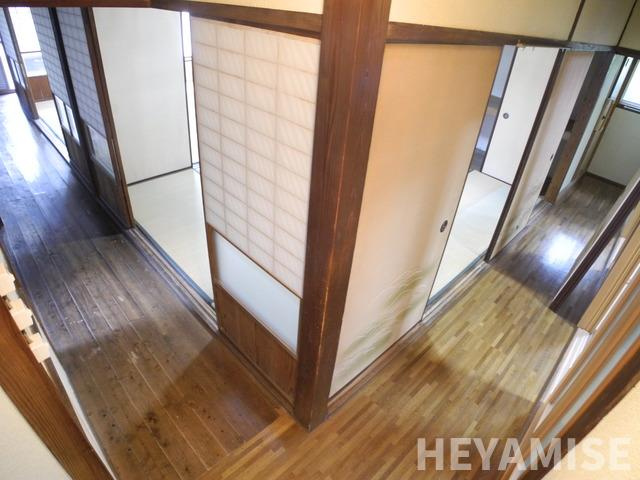 ナルタキカシヤ（ミギ）のその他