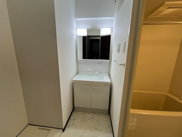 MISTRAL姫路駅前の独立洗面台