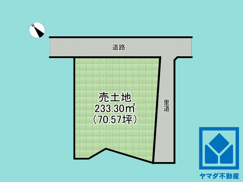 伏見区桃山町遠山の土地図