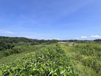 【周辺】 | 三木市吉川町貸潮　事業用地