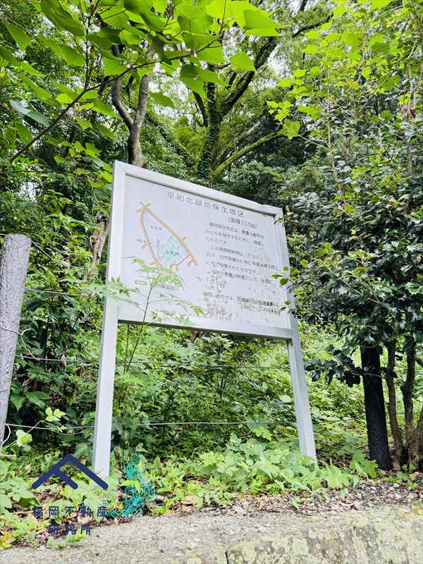 モントーレ平和の周辺