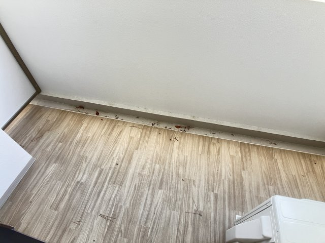 パークアクシス市川の設備