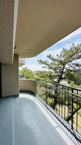 パラツィーナセシリア仁川弐番館のバルコニー|バルコニー