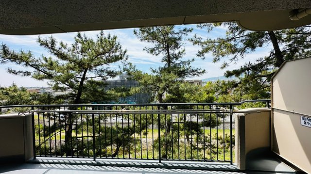 パラツィーナセシリア仁川弐番館の展望|物件からの展望