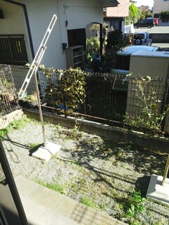 ネスト・ワンの庭