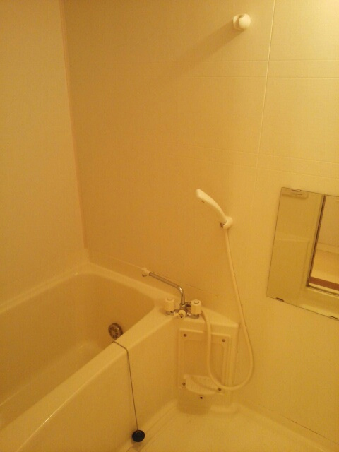 ネスト・ワンの浴室