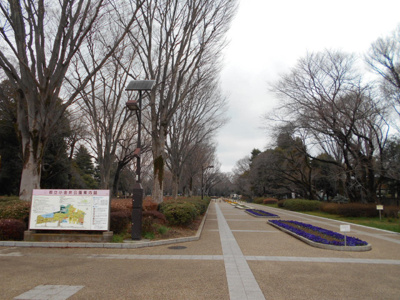 都立小金井公園まで800ｍ