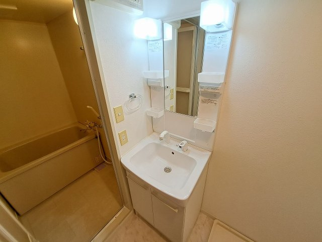 メゾンアイリスの洗面所