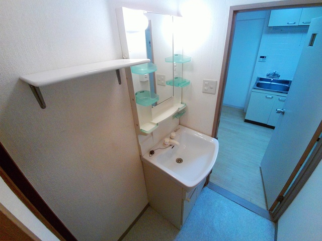 西甲南レジデンスの洗面所