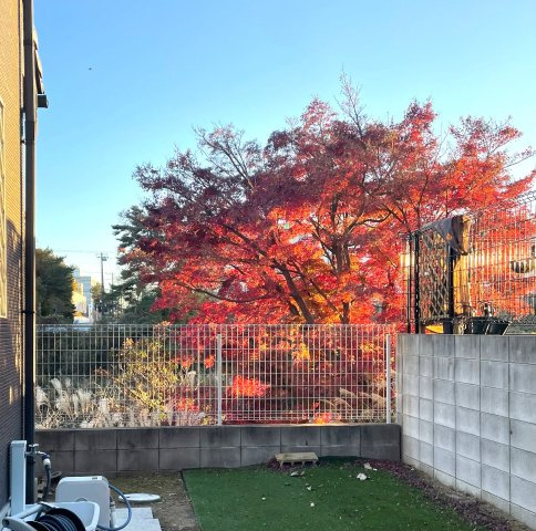 玄関前は、紅葉が綺麗にみえます！