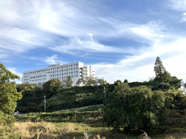 緑が多い環境なので、子育て世帯にもおすすめです。