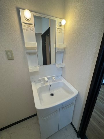 メゾン石川の洗面所