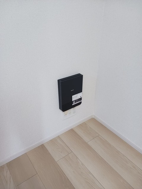 ティグレのその他