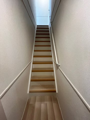 ティグレのその他