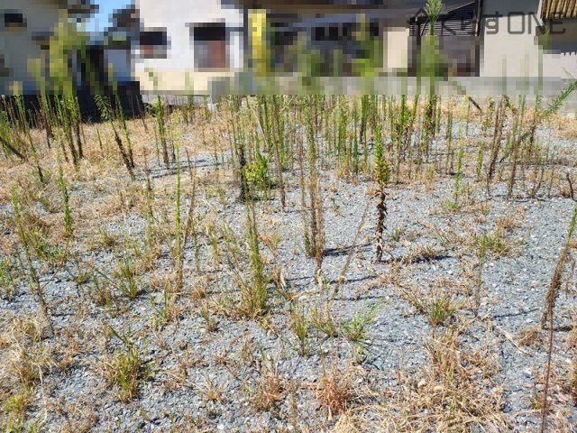 【外観】 | 姫路市木場前中町／売土地