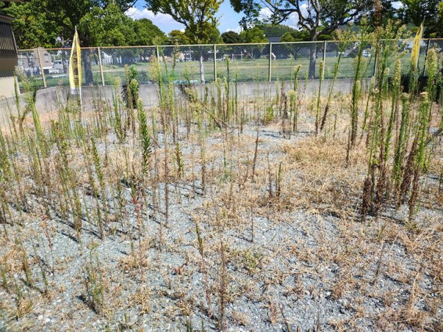 【外観】 | 姫路市木場前中町／売土地