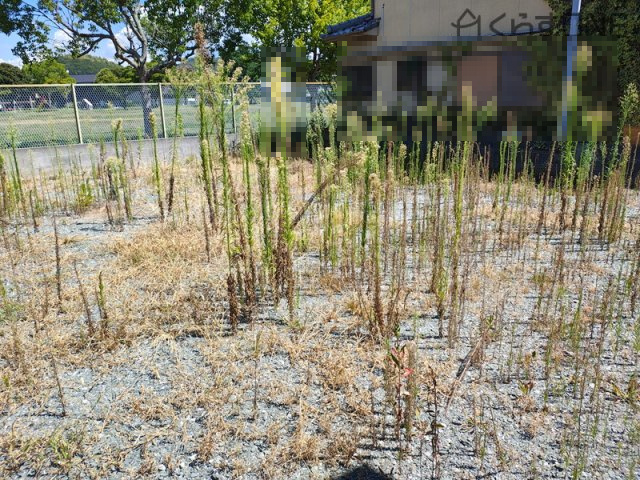 【外観】 | 姫路市木場前中町／売土地