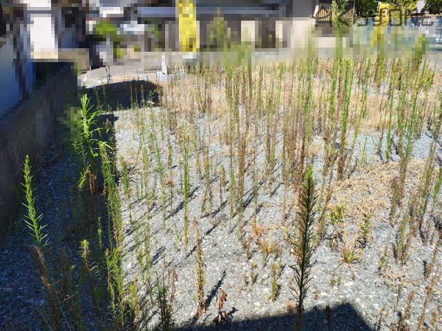 【外観】 | 姫路市木場前中町／売土地