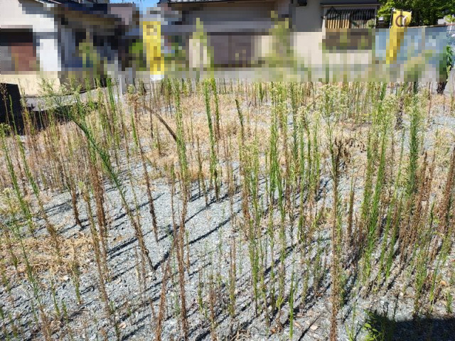 【外観】 | 姫路市木場前中町／売土地