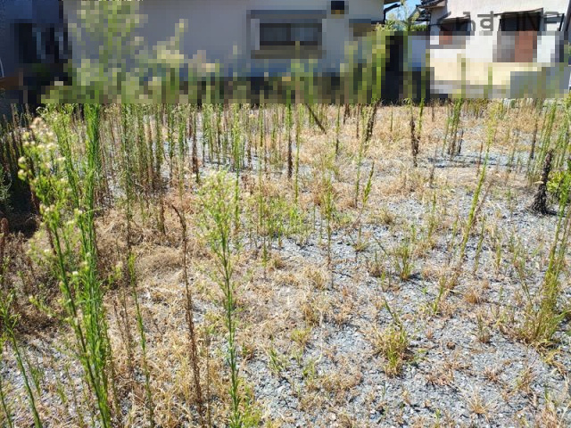 【外観】 | 姫路市木場前中町／売土地