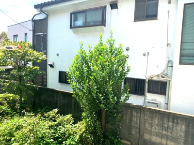 【展望】 | エレガンス初台 | 1階からの眺望