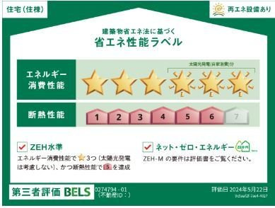 スプリング　サニーのその他