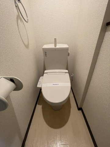 レオネクストスィングアイランドのトイレ