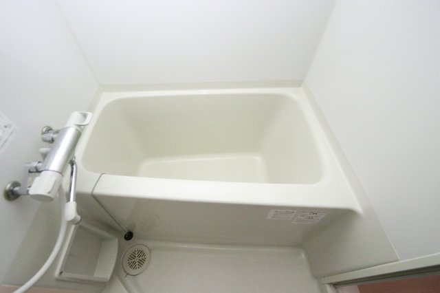 レオネクストスィングアイランドの浴室