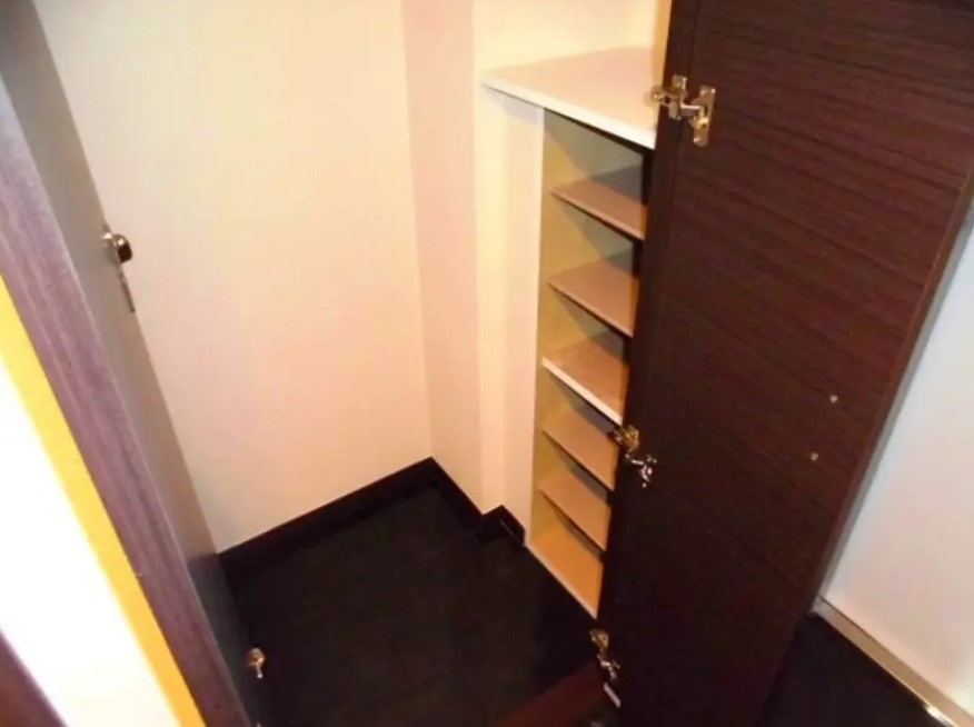 レオネクストスィングアイランドの玄関