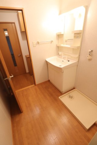 ソレアード生田の洗面所