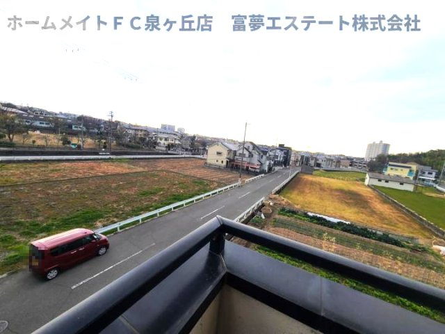 【展望】 | ウィスタリア藤