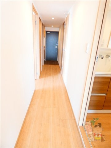 ＣＲＡＳＳＯ　ＩＭＡのその他