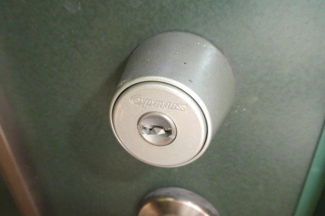 ディリジェントのセキュリティ|オプナスキー