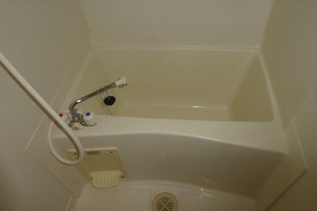 ディリジェントの浴室