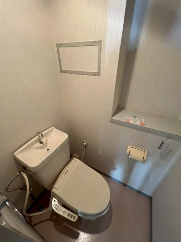 ヒューマンポート洗心洞のトイレ