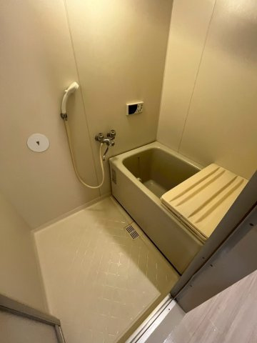 ヒューマンポート洗心洞の浴室