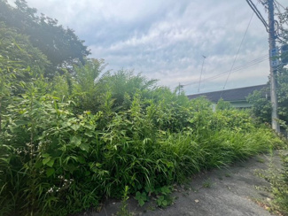 【外観】 | 東松山市松山町2丁目　建築条件なし売地　「森林公園駅」徒歩12分　敷地99坪　【松山第一小学区】