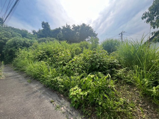 【外観】 | 東松山市松山町2丁目　建築条件なし売地　「森林公園駅」徒歩12分　敷地99坪　【松山第一小学区】