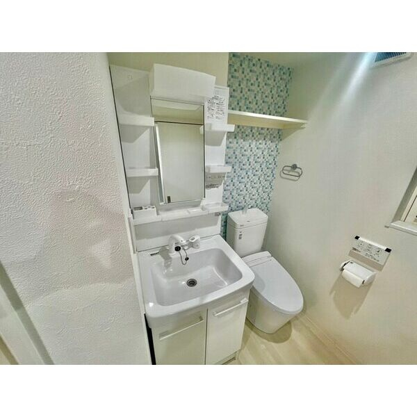 エル・サッスーン桜町の洗面所