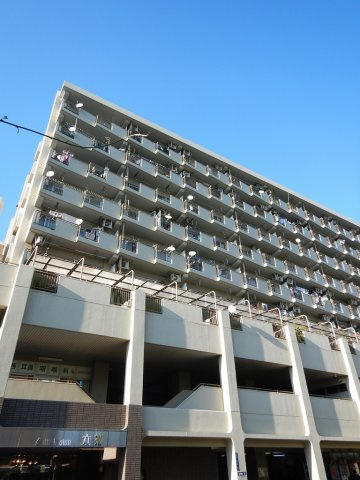 サンタウン立花2号棟の外観