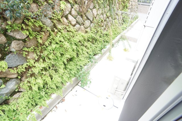 arbre fuille(アルブルフィーユ)の庭