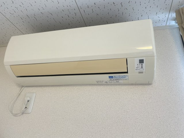 レオネクスト感田のその他