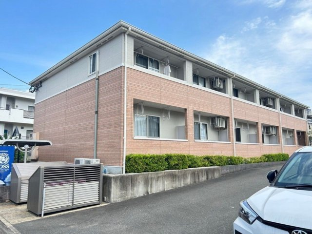 スイートアリッサム