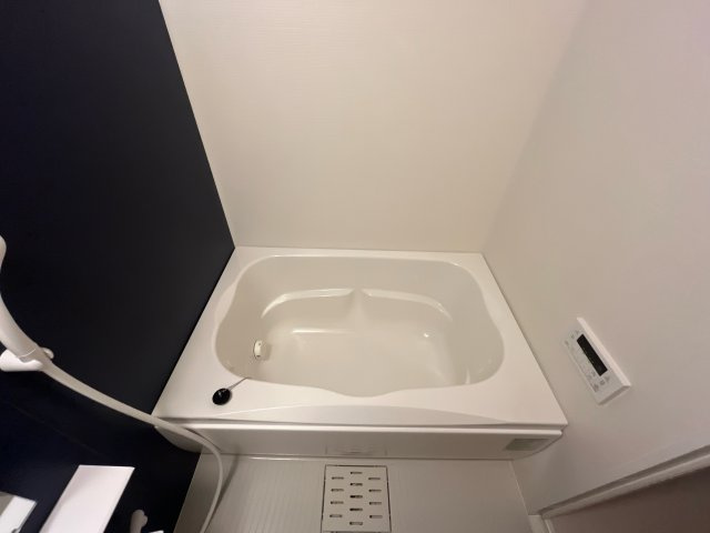 ＫＳ　Ｇｒａｎｄ　Ｒｉｖｅｒの浴室